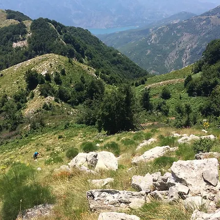 Bujtina Bashota