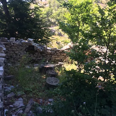 Bujtina Bashota Guest house *