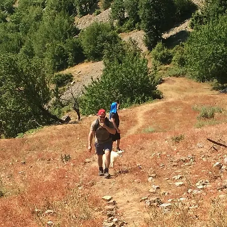 Bujtina Bashota Koman