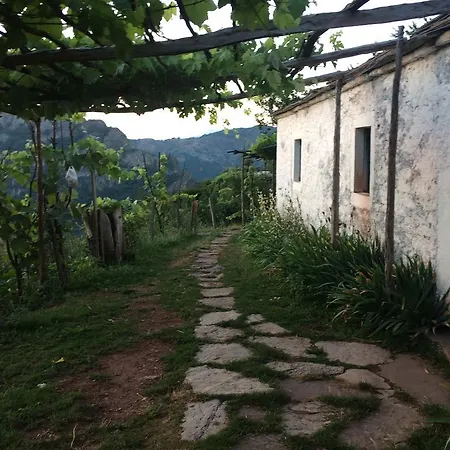 Guest house Bujtina Bashota *